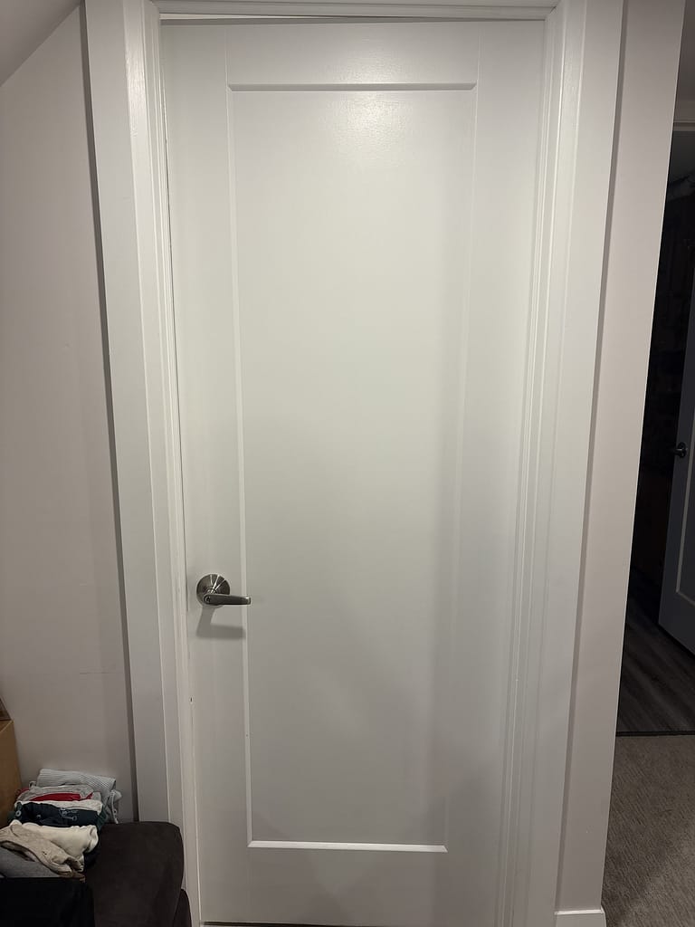 Existing one-panel interior door and brushed-nickel lever used as a matching reference
