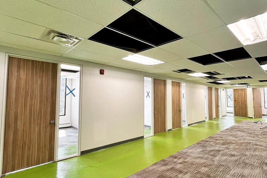 Scale, Structure, and Strict Tolerances: Hanging 32 Openings for a Mississauga Commercial Build carpentry